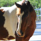 Part 1 – An Introduction