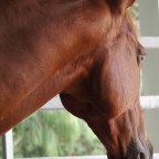 Part 18 – Danny – Repairing the Damage Done….