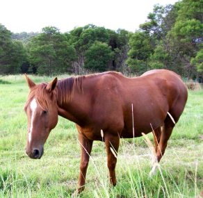 dannyboys arrival 006