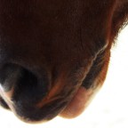 Part 89 – Secrets Shared…