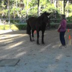 Part 78 –  Starting on the DVDs!!