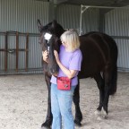 Part 76 – Entering the Clicker Training World….