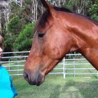 Part 53 –  Ducati Calling!!