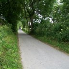 Part 52 –  Confusion, Dinner – and a Work in Progress