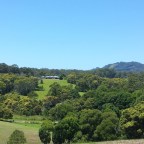 Part 61 – Homecoming!