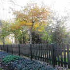 Part 54 – Level 3  – The False Self