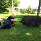 5.  More from Anja Beran … and a Lunchtime Visitor!!!