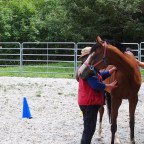 10. Feldenkrais – What Does it Have to Do With Horses??? ….everything….