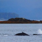 Part 113 – Five Go To Sea – Alaskan Adventures!