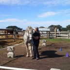 Part 102 – Clicker Training at Half Moon Bay!