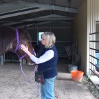 Kindness to Others in the Clicker Training World