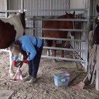 Part 120 – Blood, Sweat and Tears….. And Pete!