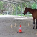 Part 128 –  Ducati and the Cone Circle – Loopy Training