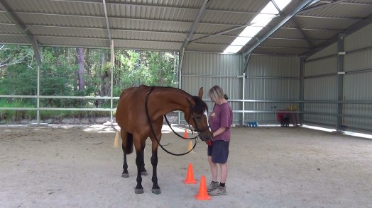 ducati food delivery
