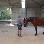 Part 16 – Clicker Training – But  I Want a True Connection!