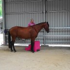 Part 132 – The Desire to Ride Again….