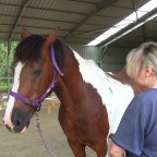 Part 14 – Clicker Training…… But It’s Cheating!