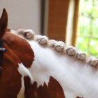 9.  Anja Beran – Benefits for any breed!