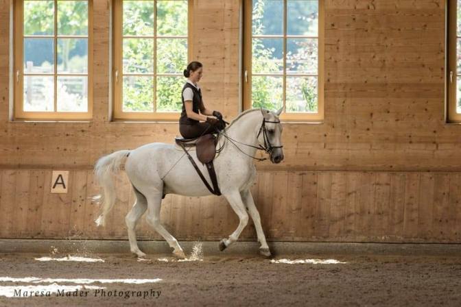 anja side saddle