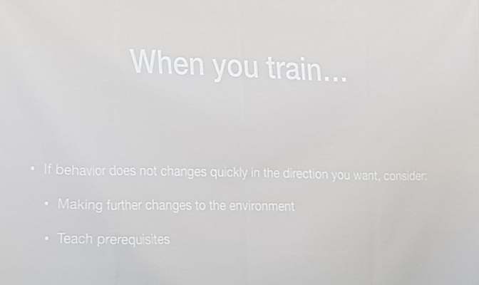 83041215_510544422929566_6342523010825584640_n