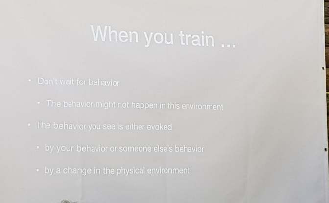 83386693_2497718583824958_3282159066381549568_n