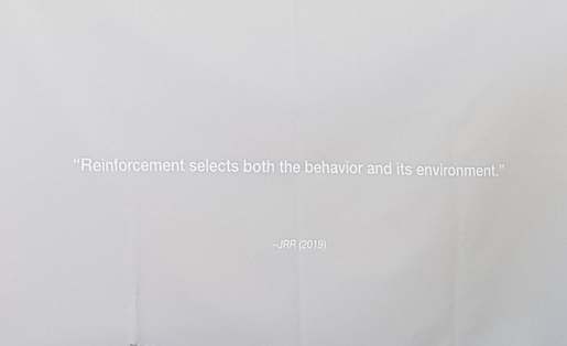 83842479_1034817803545266_1041458388787003392_n