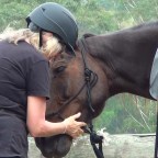 Clicker Training in the Nambucca Natural Horsemanship Club!