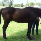 Monty and Heather Begin Their Climb!