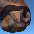 Part 3 – What Is Blocking Us?