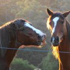 Part 10 –  Let’s Stay Safe!