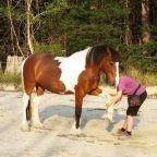 Part 9 –  Magnum Says  “Time Is Your Friend”!