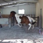 Part 12 –   Oh No!  We Have A Problem!