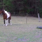 Part 20 – Tearing Down The Wall