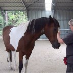 Part 21 – Clicker Training – Finding the Final Quarter!