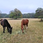 Goodbye Danny and Saadi